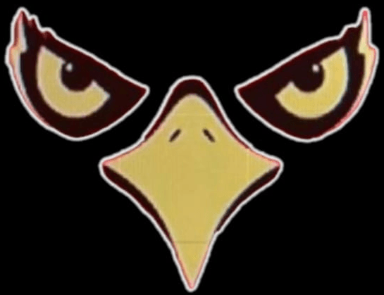 Águilas Blancas Flag Football